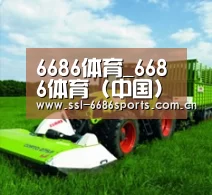 关于6686