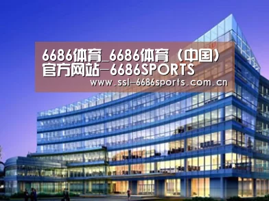 案例展示五