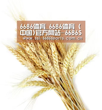 6686体育_6686体育 (中国)官方网站-6686SPORTS