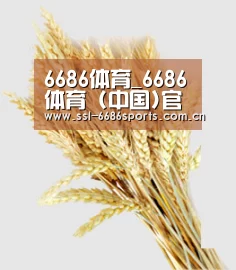 6686体育_6686体育 (中国)官方网站-6686SPORTS