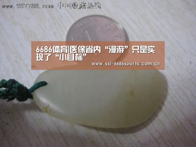 6686体育|医保省内“漫游”只是实现了“小目标”(图3) 6686体育