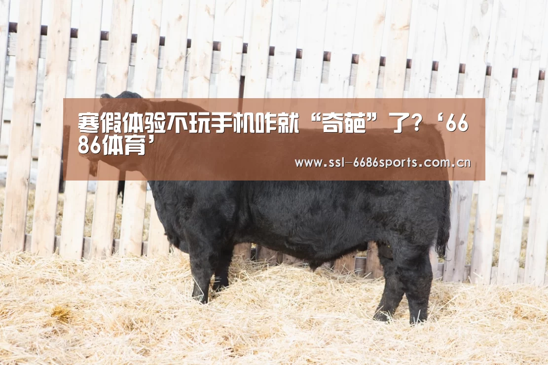 寒假体验不玩手机咋就“奇葩”了?‘6686体育’(图2) 6686体育